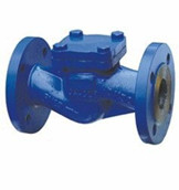 PN16 PN25 DIN Steel Valves Stellite Overlay Ball Type Check Valve