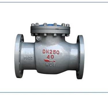 Stainless Steel Dn50 Swing Type Check Valve Pn16