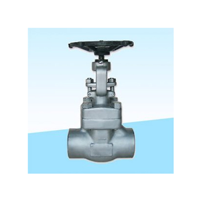 High Temperature Forged Steel Gate Valve High Pressure 800LBS Bolted Bonnet