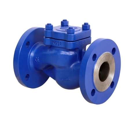 Ansi 201 Stainless Steel Swing Check Valve Non Return