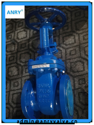 DIN GOST GS C25 Standard Non Rising Gate Valve   Stem RF FF  Flanged