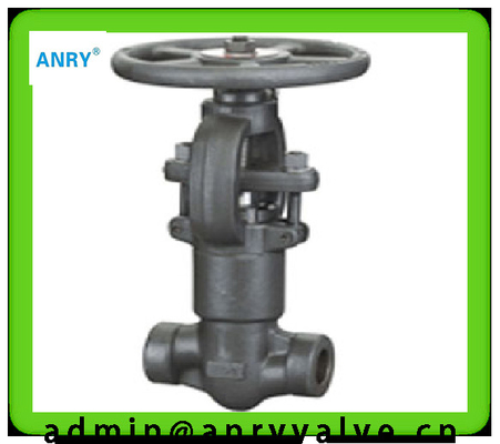 Coupling Nipple  Gate Valve A105 13CR Wedge SW BW NPT 800LBS Extended Bonnet