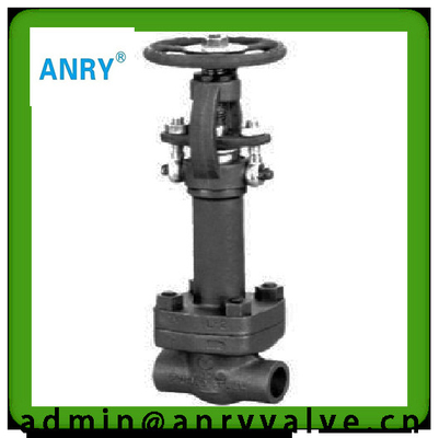 Coupling Nipple  Gate Valve A105 13CR Wedge SW BW NPT 800LBS Extended Bonnet