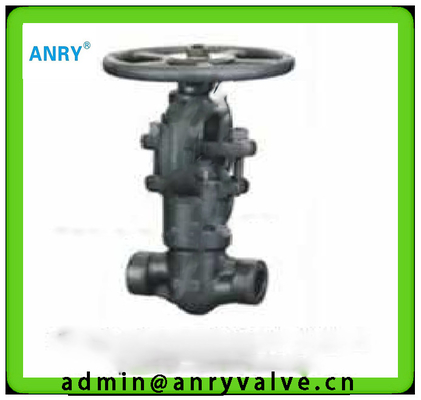 Coupling Nipple  Gate Valve A105 13CR Wedge SW BW NPT 800LBS Extended Bonnet