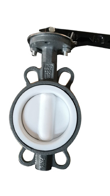 CE Customized DN80 Manual Nylon Butterfly Valve with lever