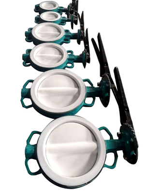 CE Customized DN80 Manual Nylon Butterfly Valve with lever