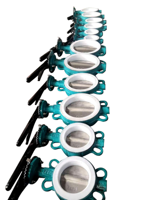 CE Customized DN80 Manual Nylon Butterfly Valve with lever